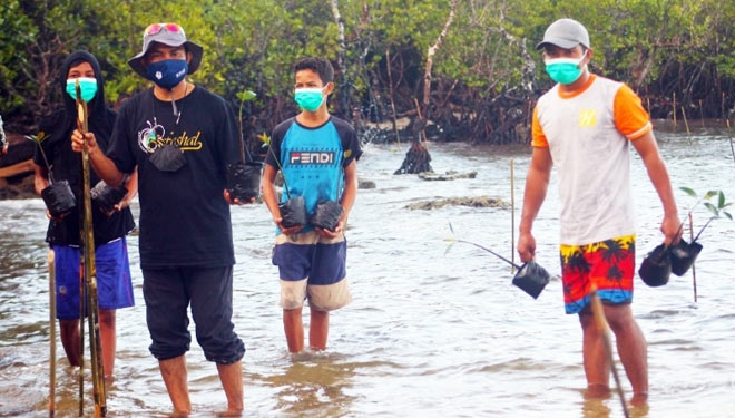 Penanaman mangrove di Obi, Halmahera Selatan. (Foto: Humas Harita Nickel)