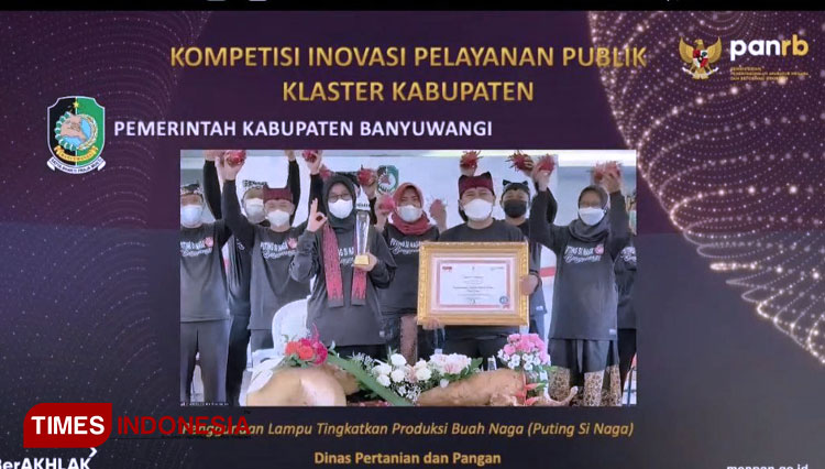 Kebun-buah-naga-saat-diberikan-lampu-di-malam-hari-3.jpg