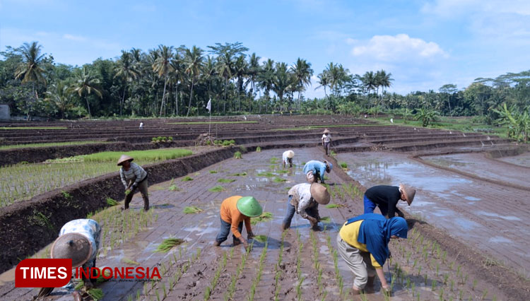 petani-milenial-2.jpg