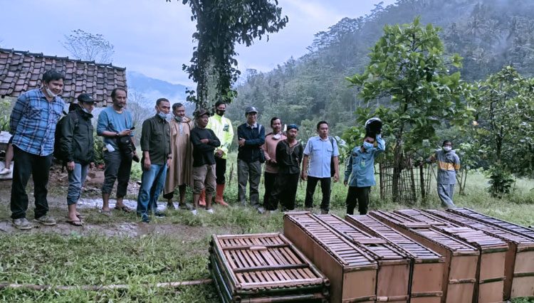 Pemdes Ngreco Pacitan 3