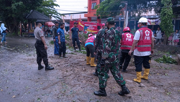 Pohon tumbang kebumen 2