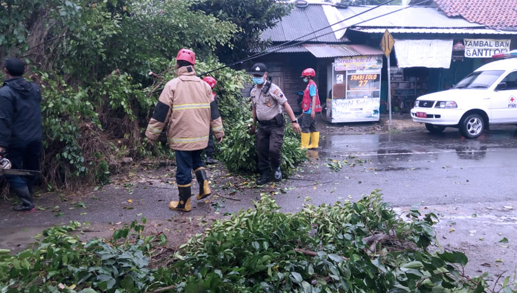 Polsek Buluspesantren bersama petugas dari Koramil, PMI, Damkar, dan warga setempat saat evakuasi pohon. (FOTO: Humas Polres Kebumen for TIMES Indonesia)