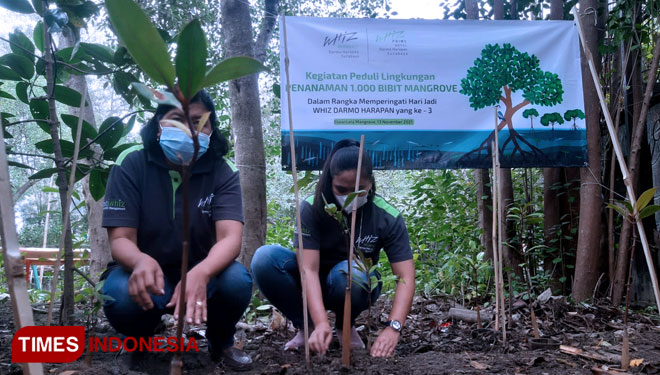 Jajaran manajemen Whiz Hotel dan Whiz Residence menanam pohon bakau di Hutan Mangrove Gunung Anyar Surabaya, Sabtu (13/11/2021). (Foto: Lely Yuana/TIMES Indonesia)