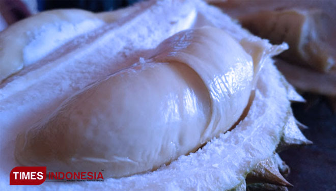 Buah durian. (foto: Dok. TIMES Indonesia)