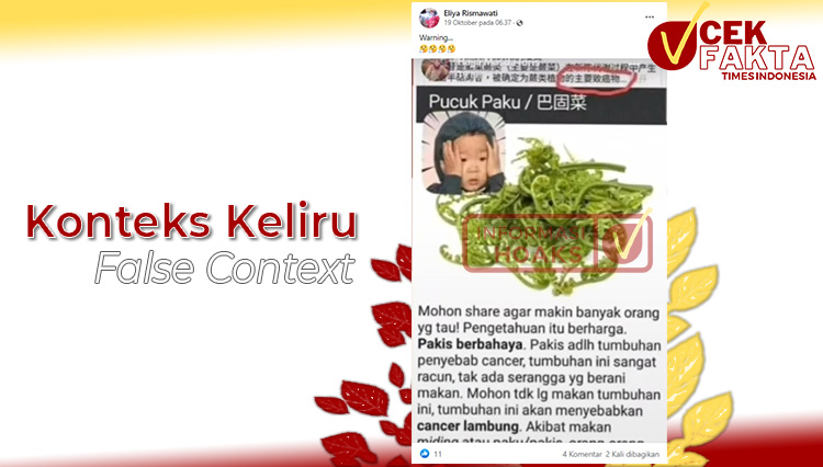 Postingan tentang daun Pakis dapat menyebabkan kanker.