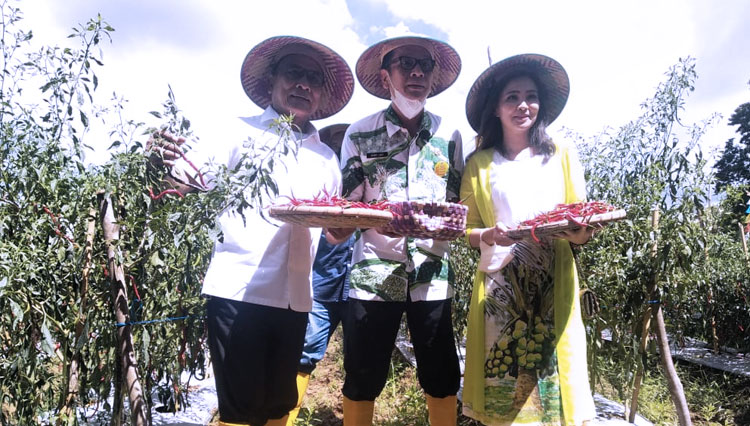 Bupati Pulau Morotai Benny Laos bersama KSP RI Moeldoko menunjukan hasil panennya di Desa Dehegila Morotai. (Foto: Mun For TIMES Indonesia)