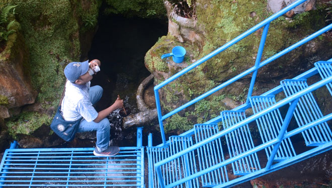 kawasan Arboretum Sumber Brantas yang terletak di Desa Sumberbrantas, Bumiaji, Kota Wisata Batu, Jawa Timur.