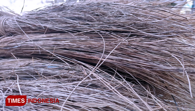 Blongkang pohon siwalan yang sudah dijadikan produk olahan palmyra fiber milik Eko Zuliansyah warga Kecamatan Pucuk, Kabupaten Lamongan, Jawa Timur, (FOTO: Moch. Nuril Huda/TIMES Indonesia)