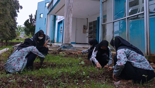 Mahasiswi Kebidanan Politeknik Banjarnegara belajar Berkebun Tanaman Obat (FOTO: Polibara for TIMES Indonesia)