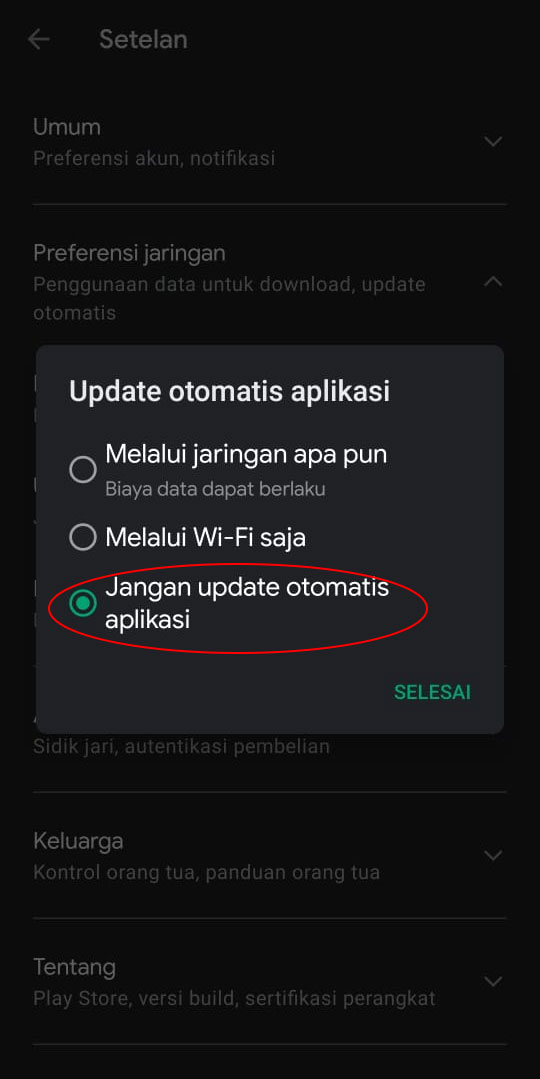 update otomatis playstore 3