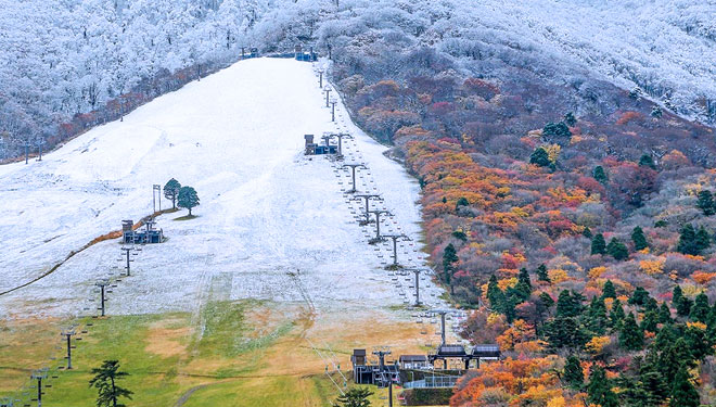 Potret pemandangan langka dimana musim dingin dan musim gugur terjadi dalam satu areal di gunung Daisen, Jepang. (FOTO: Instagram ＠karakky0918)