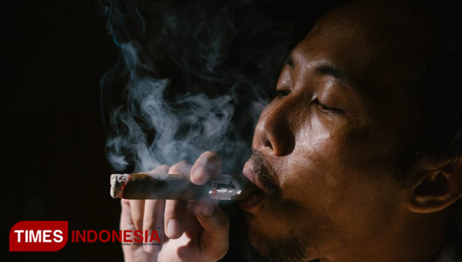 DNT Cigar Buktikan Bisa Hasilkan Cerutu Berdaya Saing Global