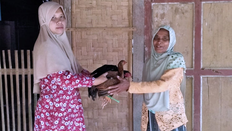 Anggota Relawan KSB Berikan Sepasang Ayam Kampung secara simbolis pada warga Kurang Mampu (Foto: KSB For TIMES Indonesia)