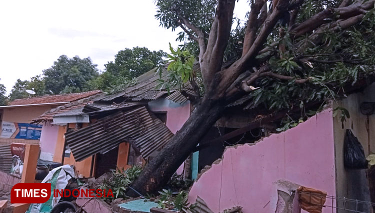 Pohon Tumbang Rusak Rumah Warga di Cirebon
