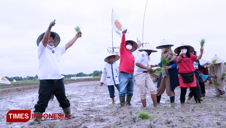 Festival Tanam Mina Padi, Cara Kenalkan Pertanian kepada Milenial di Lampung