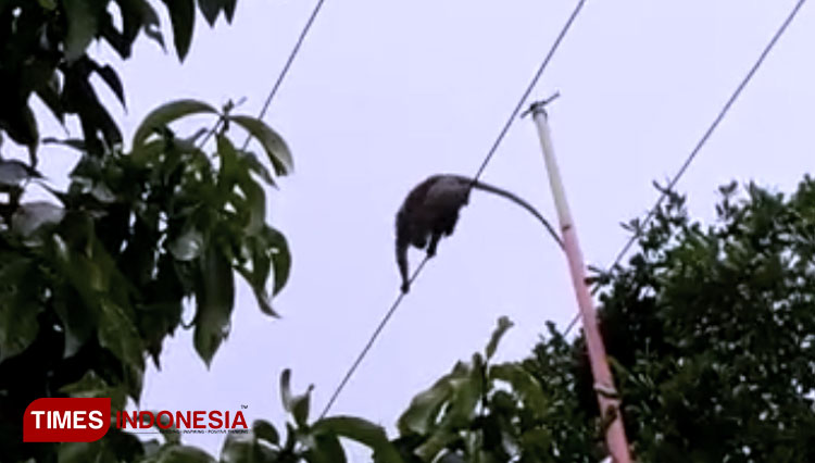 Aliran Listrik di Kota Banjar Sempat Padam, Ini Penyebabnya