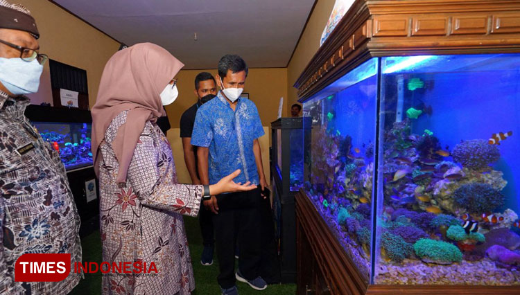 Pacu Ekonomi Kreatif Saat Pandemi, Banyuwangi Gelar Aquarium Expo