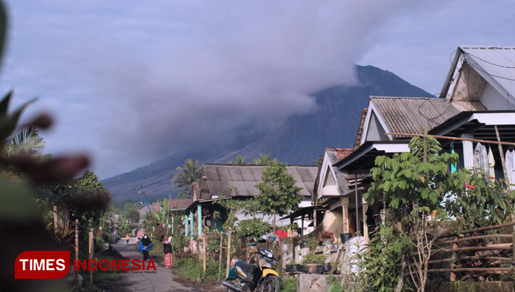 Guguran awan panas Gunung Semeru terlihat jelas. (Foto: Dicko W/TIMES Indonesia)