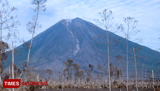 Gunung Semeru Luncurkan Awan Panas Setinggi 200 Meter - TIMES Indonesia