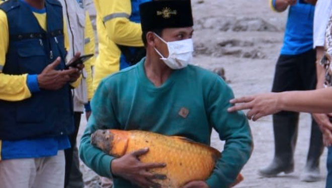 Seorang lelaki menggendong ikan mas yang selamat dari guguran awan panas Gunung Semeru pada Sabtu (4/12/2021). (Dok.Instagram @khofifah_ip) 