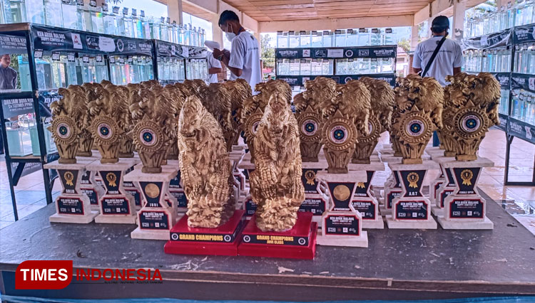 Piala-pemenang-kontes-ikan-Guppy.jpg