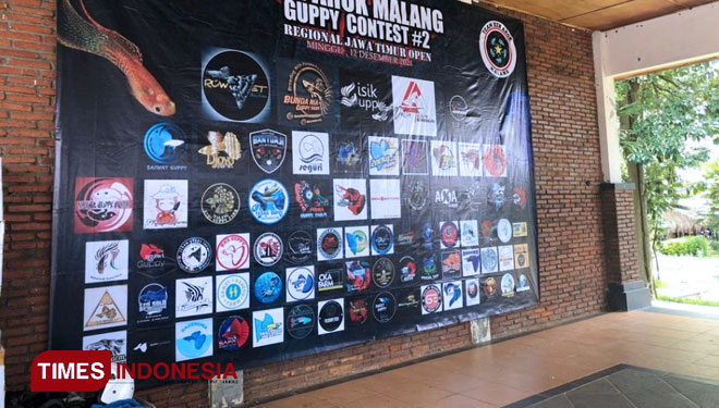 Kontes Ikan Guppy Ken Arok Malang Wadah Silaturahmi Penghobi