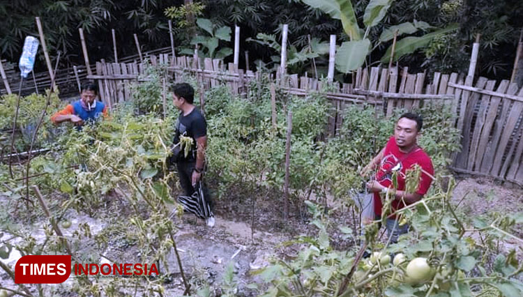 Wahyu-Bella-Prihantoro-salah-seorang-petani-milenial-perkotaan-2.jpg