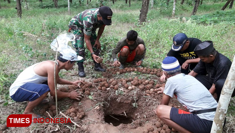 Warga Banyuwangi Gempar! Ratusan Benda yang Diduga Granat Ditemukan