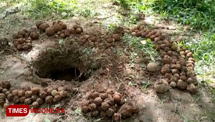Penemuan Granat banyuwangi