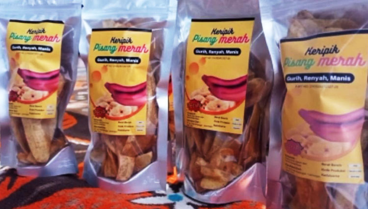 Keripik pisang dan Ice Cream, produk makanan inovasi dari pisang merah atau kidang yang dibudidaya di Taman Airlangga Desa Pataan, Kecamatan Sambeng, Lamongan, Jawa Timur, (Foto : Humas Unisla, Collage Keripik Pisang dan Ice Cream for TIMES Indonesia)