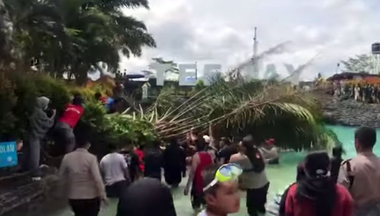 Pohon sawit yang tumbang yang viral pada sebuah video di media sosial, Minggu (2/1/22) siang (FOTO: tangkapan layar di akun FB Info Tasikmalaya)