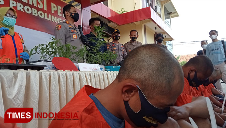 Ada Lahan Ganja di Lereng Bromo, Kapolres: Kami Masih Cari di Tempat Lain