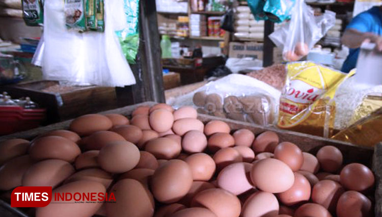 Harga Telur Ayam Masih Tinggi, Capai Rp51 Ribu per Boks