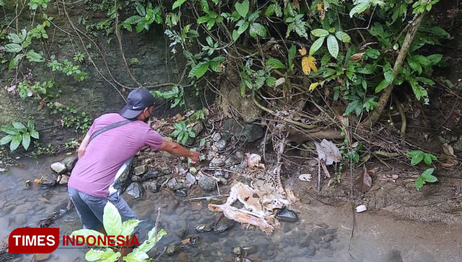 Kerangka manusia yang ditemukan di pinggir sungai kawasan hutan jati Perhutani Banyuwangi Selatan (Foto: Rizki Alfian/TIMES Indonesia)