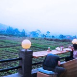 4 Perfect Places in Malang to Accompany Your Leisure Time