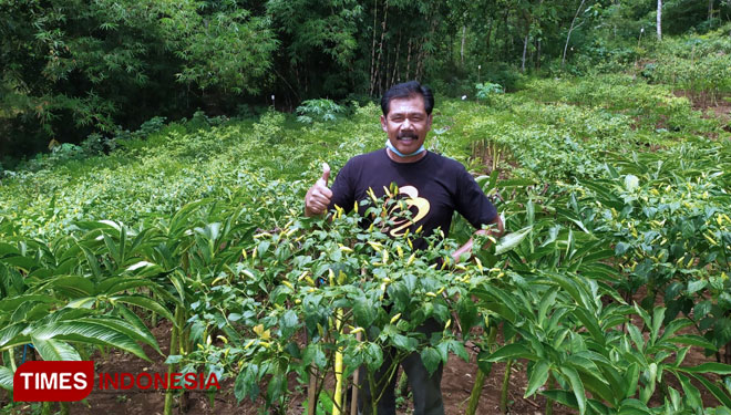 Anggota DPRD Pacitan, Adi Subroto Minta Warga Manfaatkan Tanah Kering untuk Lahan Pertanian