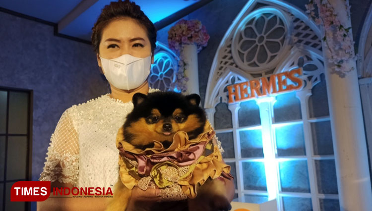 Sherly Soegito menggendong Hermes, anjing kesayangan miliknya saat perayaan ulang tahun pertama di The Grand Club Surabaya, Minggu (16/1/2022). (Foto: Lely Yuana/TIMES Indonesia) 