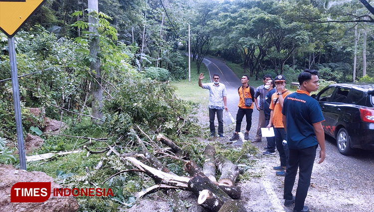Cuaca ekstrem berdampak bencana alam di wilayah pegunungan Kabupaten Pacitan. (Foto: BPBD Pacitan For TIMES Indonesia)