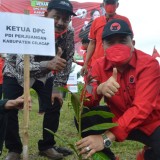Merawat Bumi, PDI Perjuangan Cilacap Tanam Pohon di Dusun Winong