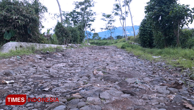 Pemapakan jalan menuju Desa Brambangan yang ada di Kaki Gunung Raung Kabupaten Bondowoso (FOTO: Moh Bahri/TIMES Indonesia)