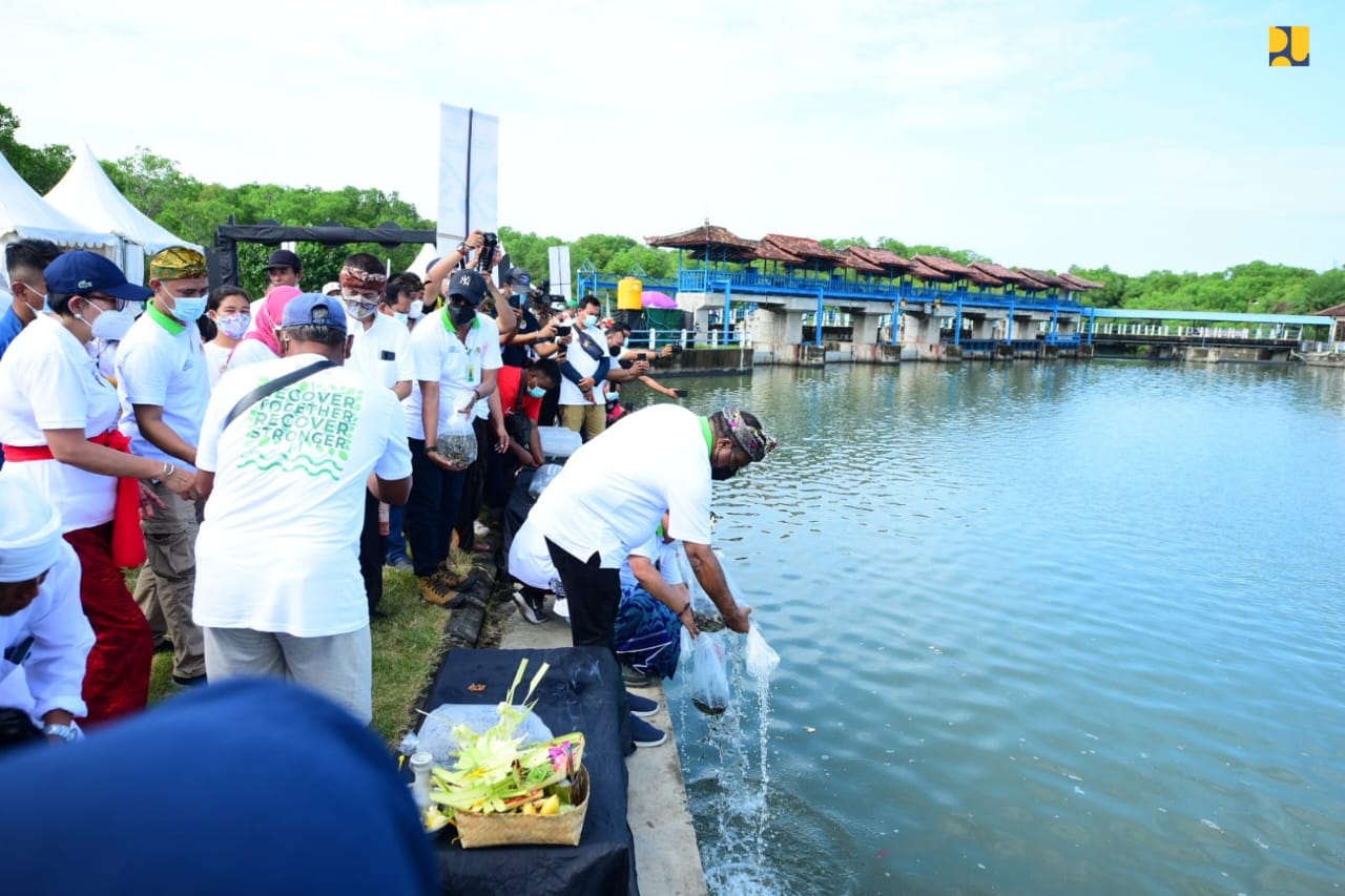 Mangrove-PUPR-2.jpg