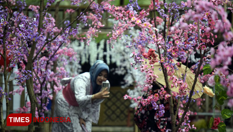 Warga mengenakan baju Kimono dan berswafoto di antara Bunga Sakura buatan di wisata desa Agrapana (FOTO: Moh Bahri/TIMES Indonesia)