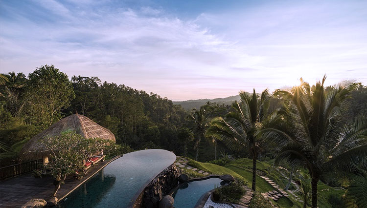 Adiwana Hotels 3