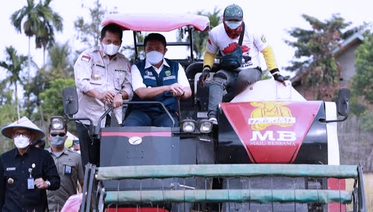 Gubernur Sumsel dan Bupati Banyuasin Panen Raya (FOTO: Dok Pemprov Sumsel)