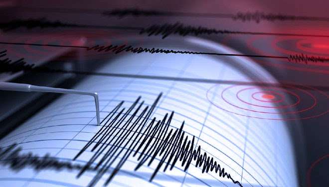Selama Bulan Januari 2022, 85 Gempa Bumi Terjadi di Jawa Timur