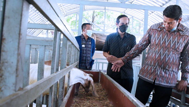 Wali Kota Kediri saat meninjau peternakan kambing di kelurahan ngronggo (Foto-foto: Protokol dan Komunikasi Pimpinan Sekretariat Daerah Kota Kediri)