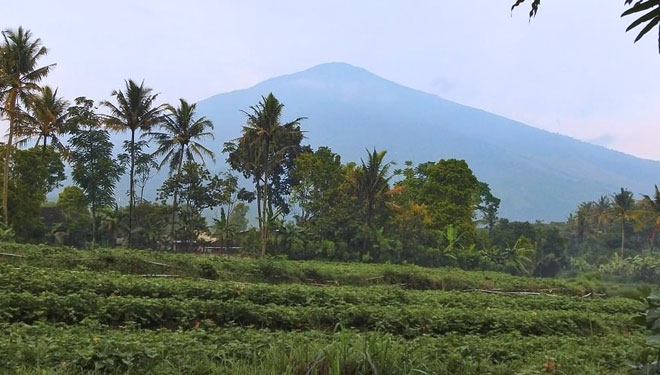 gunung-Ciremai-b923a39d7c0b7ca60.jpg
