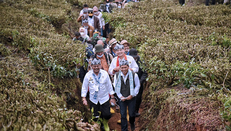 kopi Kabupaten Bandung 3