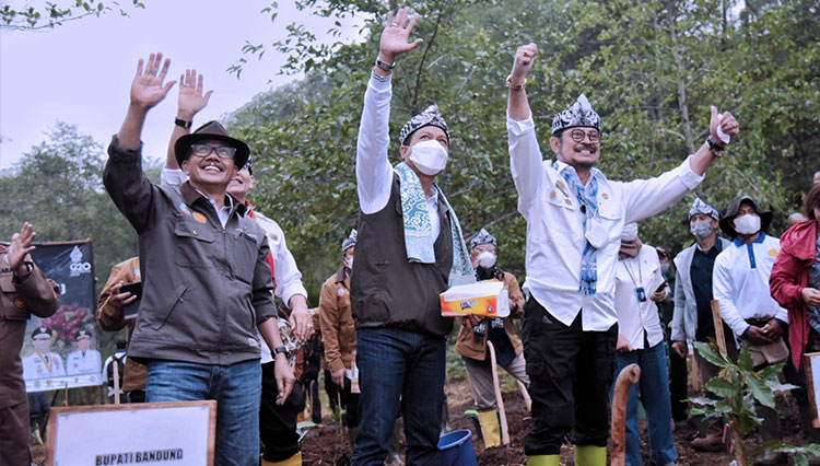 kopi Kabupaten Bandung